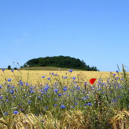 Hafenhaeuser Wiek Ferienwohnung 14