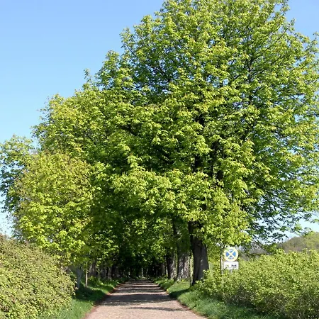 Hafenhaeuser Wiek Ferienwohnung 14 *